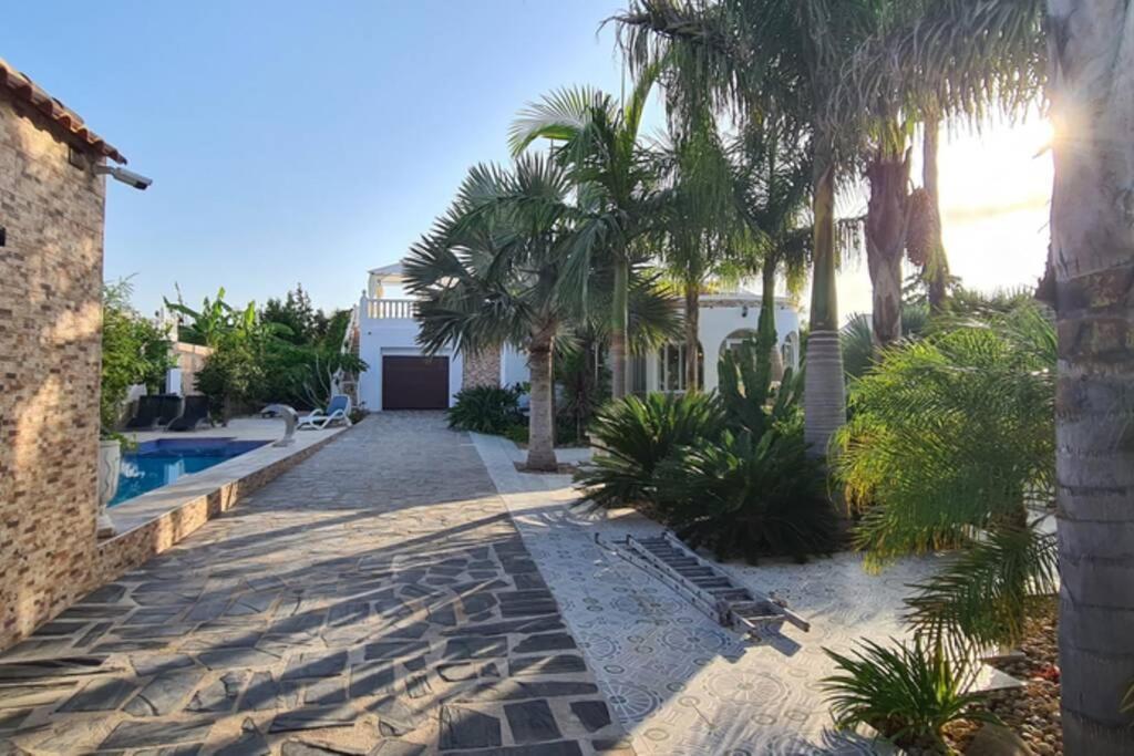 Tropical Paradise Villa In Торрев'єха Екстер'єр фото