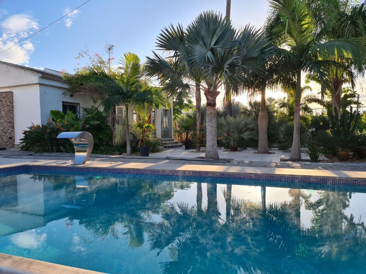 Tropical Paradise Villa In Торрев'єха Екстер'єр фото